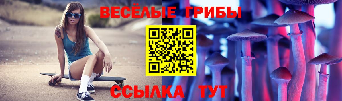 Галлюциногенные грибы GOLDEN TEACHER Рязань